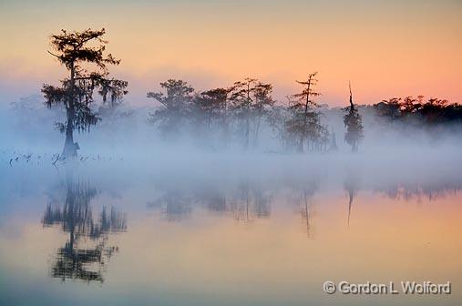 Mist On Lake Martin_26109.jpg - Photographed in the Cypress Island Preserve near Breaux Bridge, Louisiana, USA.